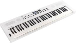 Roland GO:KEYS-5-WH Синтезатор с автоаккомпанементом, 61 клавиша - 2