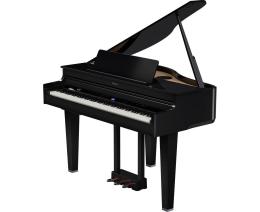Roland GP 6 PE цифровой рояль, 88 клавиш, 256 полифония, 324 тембра, Bluetooth Ver 4.2 - 1