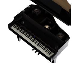 Roland GP 6 PE цифровой рояль, 88 клавиш, 256 полифония, 324 тембра, Bluetooth Ver 4.2 - 9