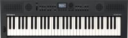 Изображение музыкального товара Roland GO:KEYS-5-GT Синтезатор с автоаккомпанементом, 61 клавиша