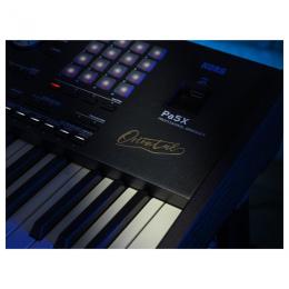 KORG Pa5X-76 Oriental профессиональная аранжировочная станция - 4