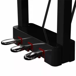 Roland GP 9 PE цифровой рояль премиум класса, длина 151 см, цвет черный полированный - 9