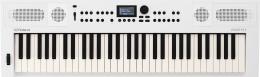 Roland GO:KEYS-5-WH Синтезатор с автоаккомпанементом, 61 клавиша - 1
